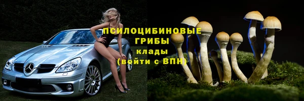 MDMA Premium VHQ Гусиноозёрск