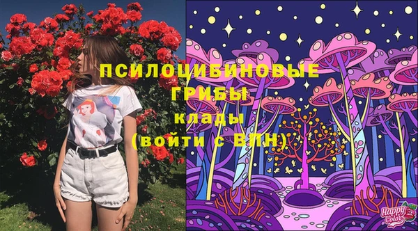 меф Дмитров