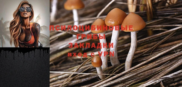 круглые Гусь-Хрустальный